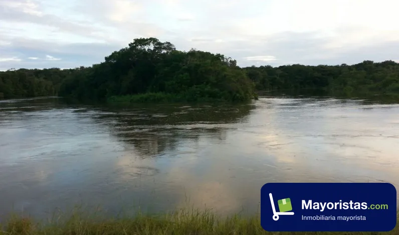 Finca ganadera de 2.637 ha en Cumaribo, Vichada — foto 10 de 10