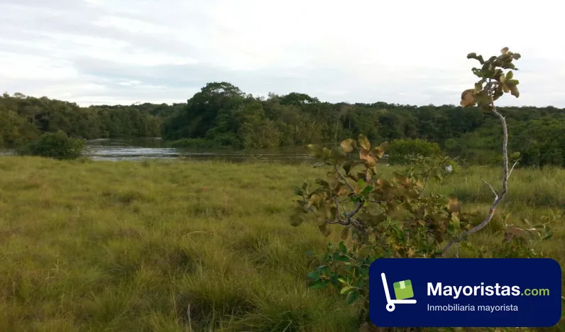 Finca ganadera de 2.637 ha en Cumaribo, Vichada — foto 9 de 10