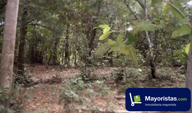 Finca ganadera de 480 ha en Tauramena, Casanare — foto 10 de 10