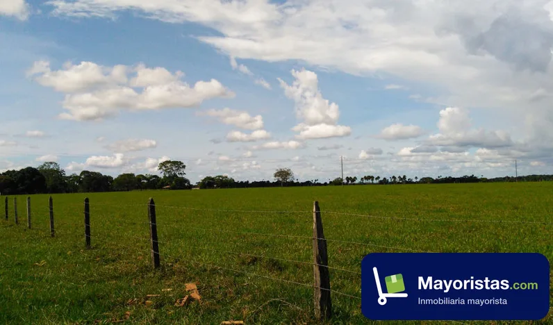 Finca ganadera de 391 ha en San Carlos Guaroa, Meta