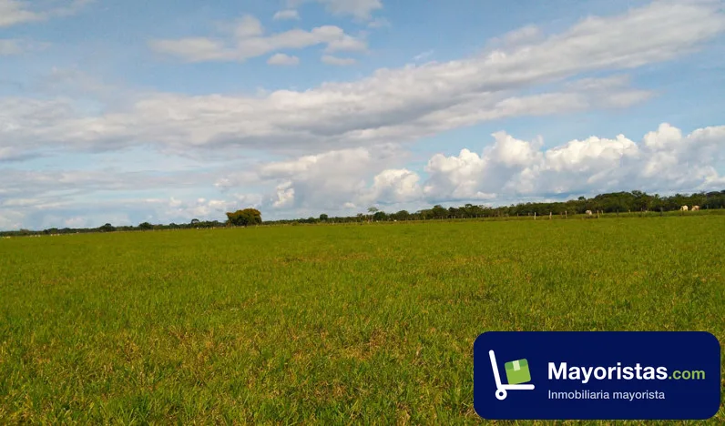 Finca ganadera de 391 ha en San Carlos Guaroa, Meta — foto 10 de 10