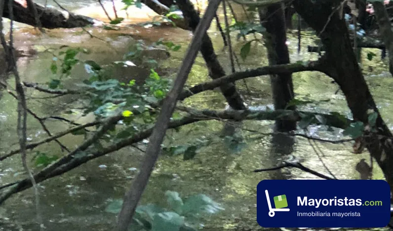 Finca ganadera de 4.100 ha en Puerto Gaitán, Meta — foto 10 de 10