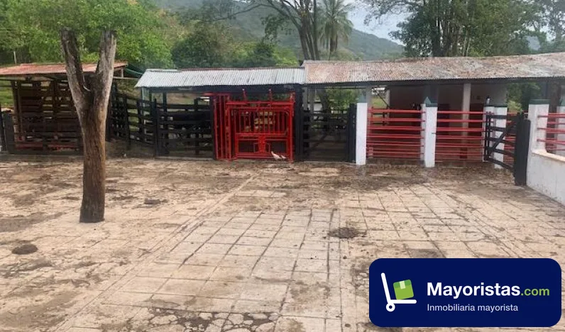 Finca ganadera de 1.100 ha en Puerto Salgar, Cundinamarca — foto 10 de 10