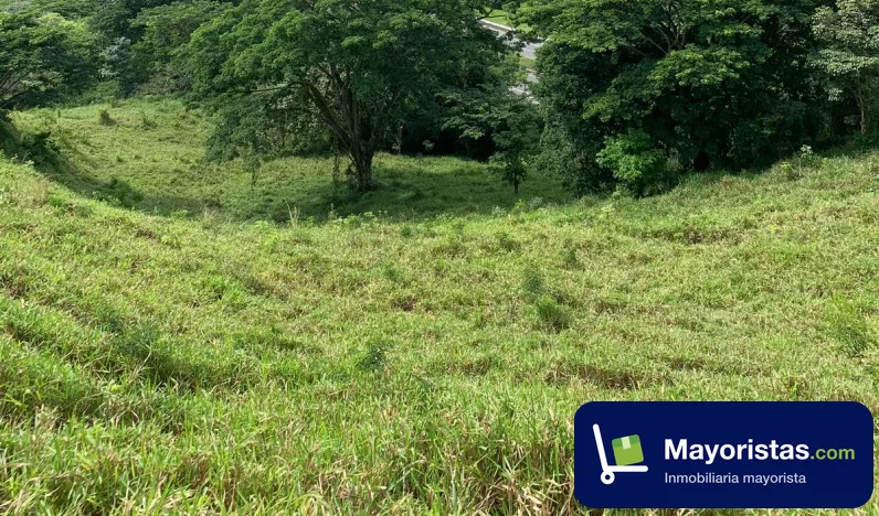 Finca ganadera de 1.100 ha en Puerto Salgar, Cundinamarca — foto 9 de 10