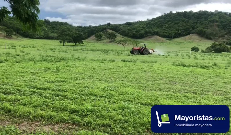 Finca ganadera de 800 ha en Armero, Tolima
