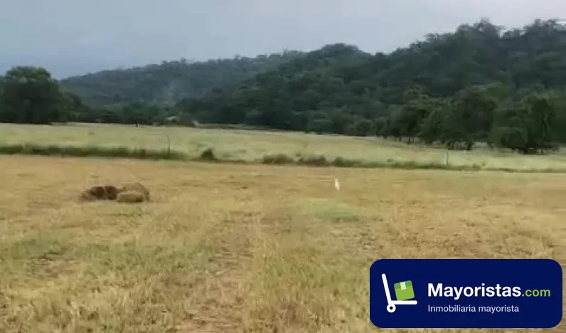 Finca ganadera de 800 ha en Armero, Tolima — foto 9 de 10