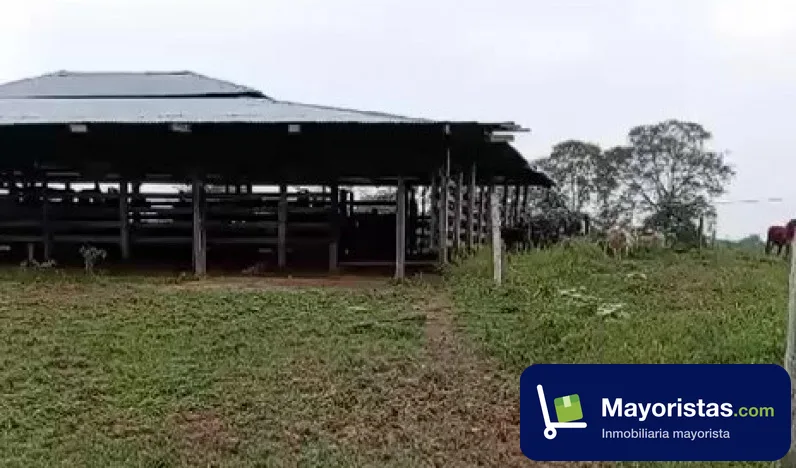 Finca ganadera de 256 ha en La Macarena, Meta — foto 9 de 9