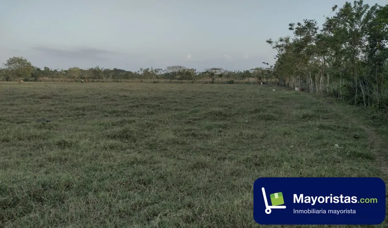 Lote de 3 ha en Cereté, Córdoba — foto 9 de 10
