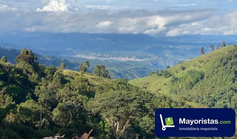 Finca ganadera de 10 ha en San Agustín, Huila — foto 10 de 10