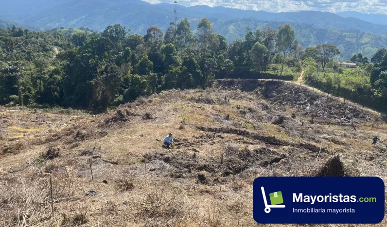Finca ganadera de 10 ha en San Agustín, Huila — foto 9 de 10