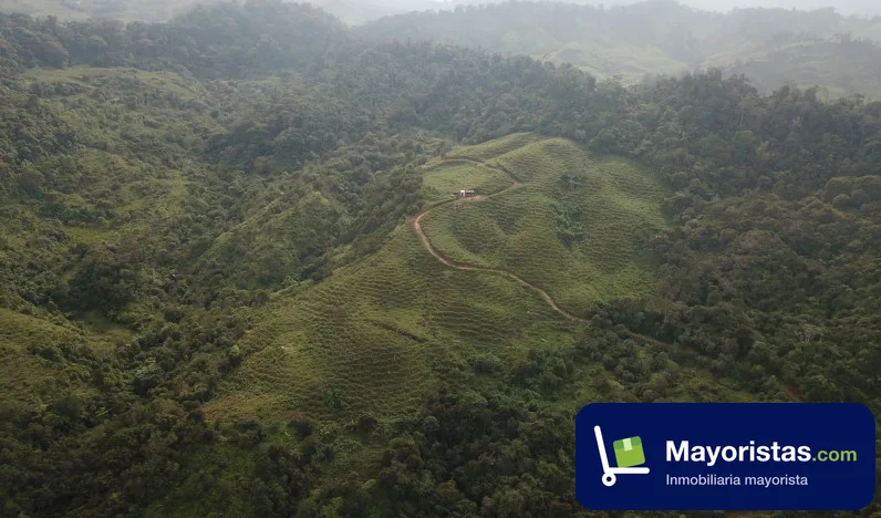 Lote de 9,4 ha en Cocorná, Antioquia