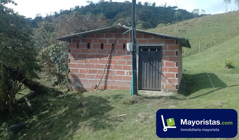 Lote de 9,4 ha en Cocorná, Antioquia — foto 10 de 10