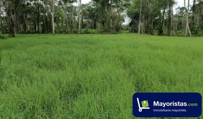 Finca ganadera de 1.230 ha en Barrancabermeja, Santander — foto 9 de 10
