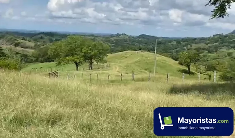 Finca ganadera de 364 ha en Puerto Salgar, Cundinamarca