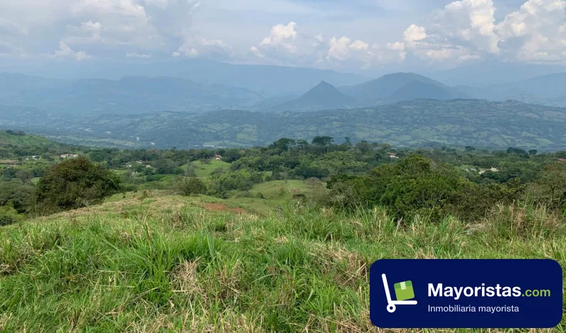 Lote de 5 ha en Támesis, Antioquia
