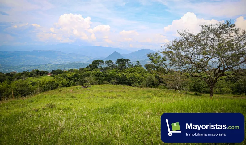 Lote de 5 ha en Támesis, Antioquia