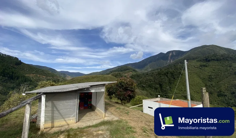 Finca agrícola de 14,5 ha en Urrao, Antioquia — foto 9 de 10