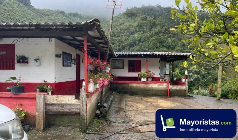 Finca agrícola de 45 ha en Urrao, Antioquia — foto 10 de 10