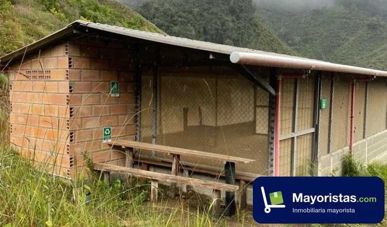 Finca agrícola de 45 ha en Urrao, Antioquia — foto 9 de 10