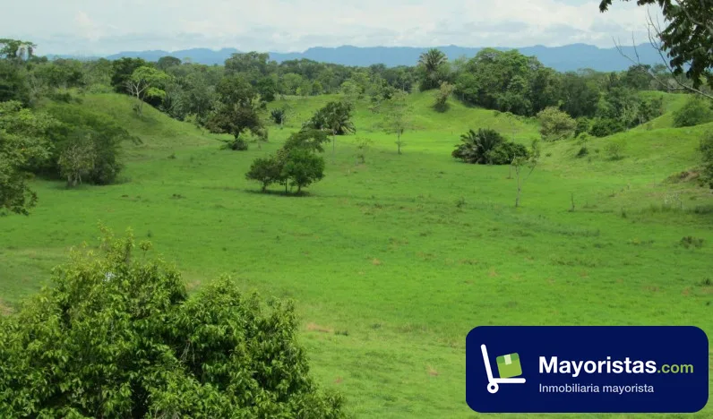 Finca ganadera de 200 ha en Puerto Boyacá, Boyacá