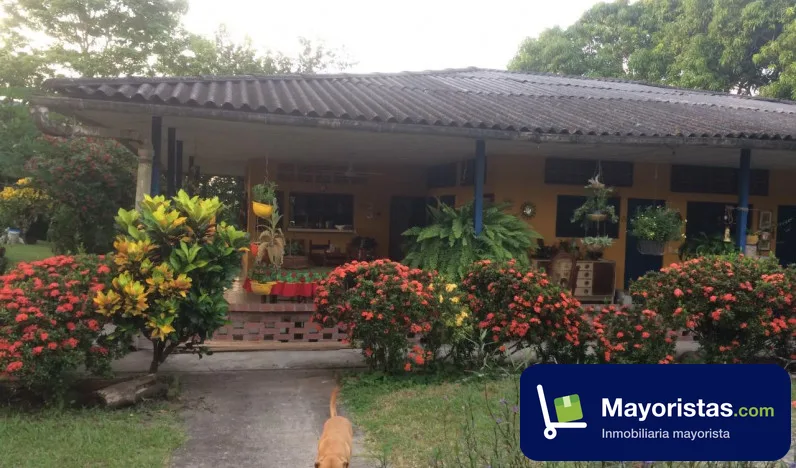 Finca ganadera de 200 ha en Puerto Boyacá, Boyacá — foto 10 de 10