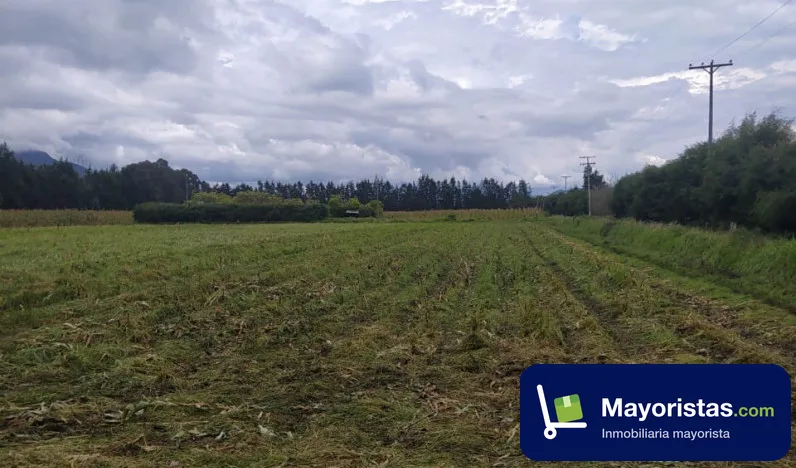 Finca agrícola de 5,6 ha en Tenjo, Cundinamarca