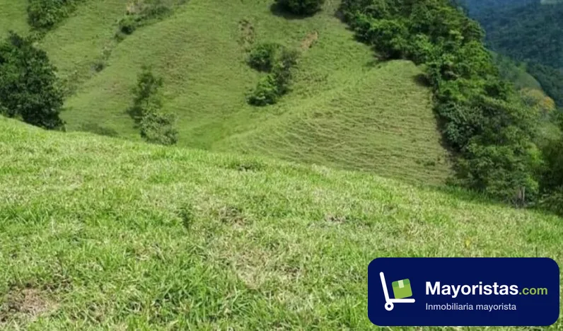 Finca ganadera de 80 ha en Puerto Boyacá, Boyacá