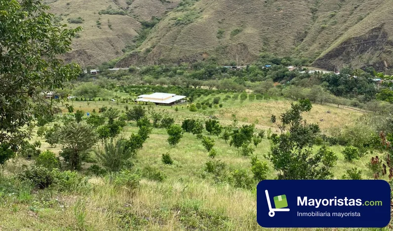Finca ganadera de 312 ha en Dagua, Valle del Cauca