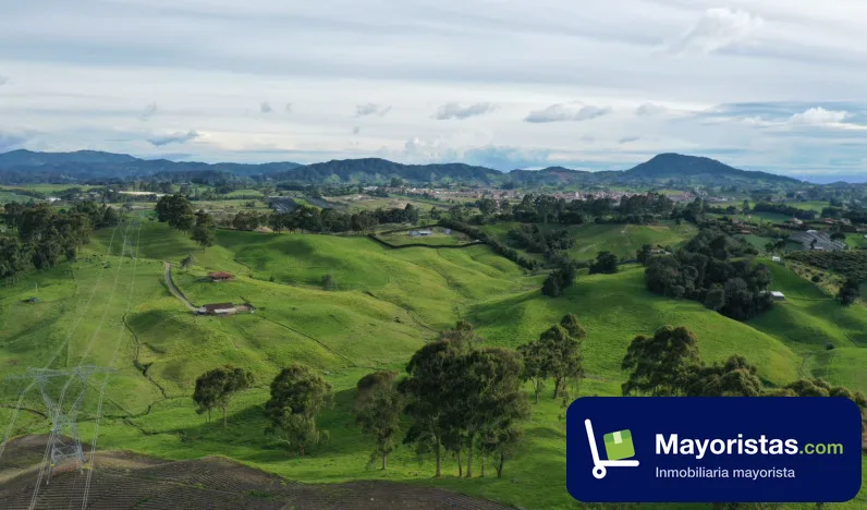 Finca ganadera de 32 ha en La Unión, Antioquia
