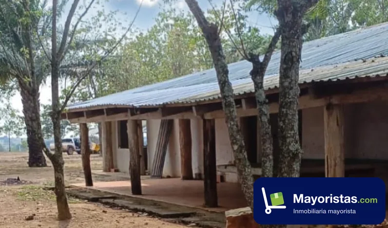 Finca ganadera de 784 ha en Puerto Gaitán, Meta — foto 9 de 10