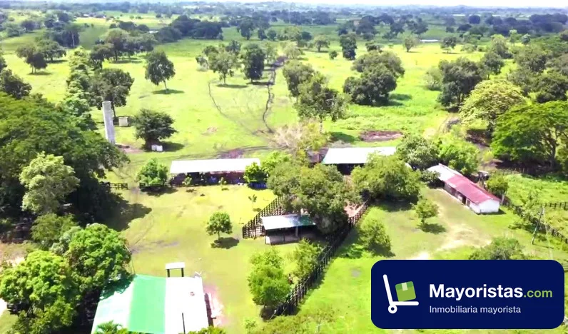 Finca ganadera de 130 ha en Arjona, Bolívar — foto 10 de 10