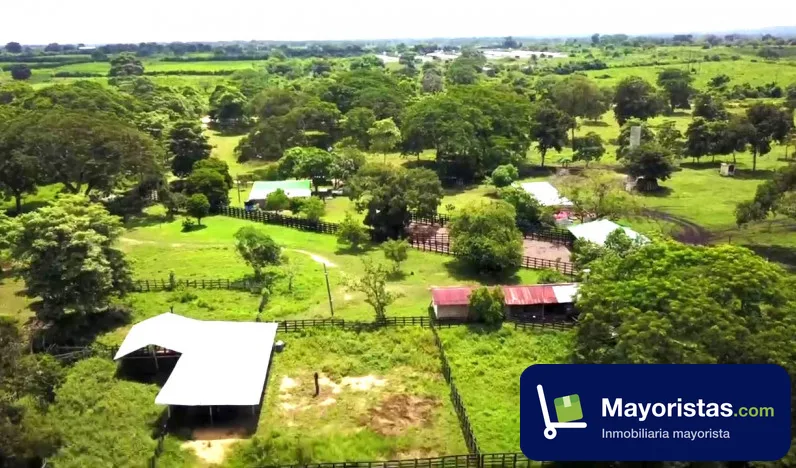 Finca ganadera de 130 ha en Arjona, Bolívar — foto 9 de 10