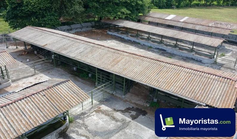 Finca ganadera de 120 ha en Mariquita, Tolima — foto 10 de 10