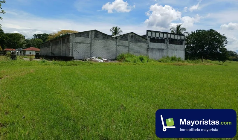 Finca ganadera de 120 ha en Mariquita, Tolima — foto 9 de 10