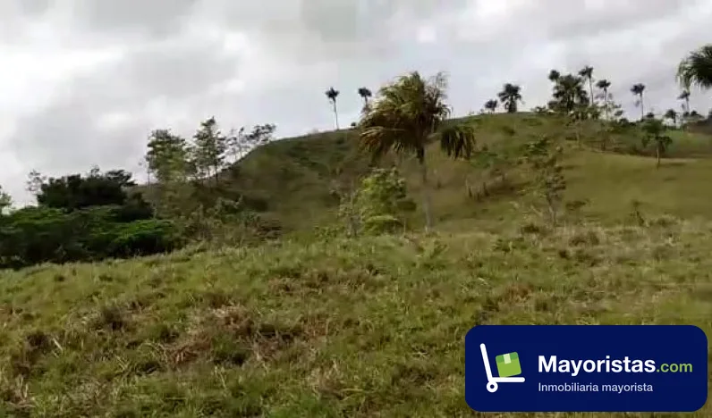 Finca ganadera de 336 ha en Necoclí, Antioquia