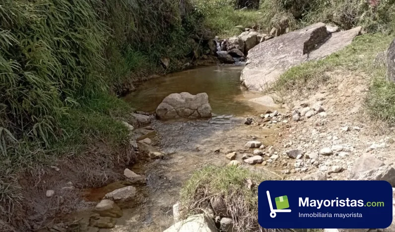 Finca ganadera de 90 ha en Santo Domingo, Antioquia — foto 10 de 12