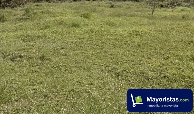 Finca ganadera de 90 ha en Santo Domingo, Antioquia — foto 11 de 12