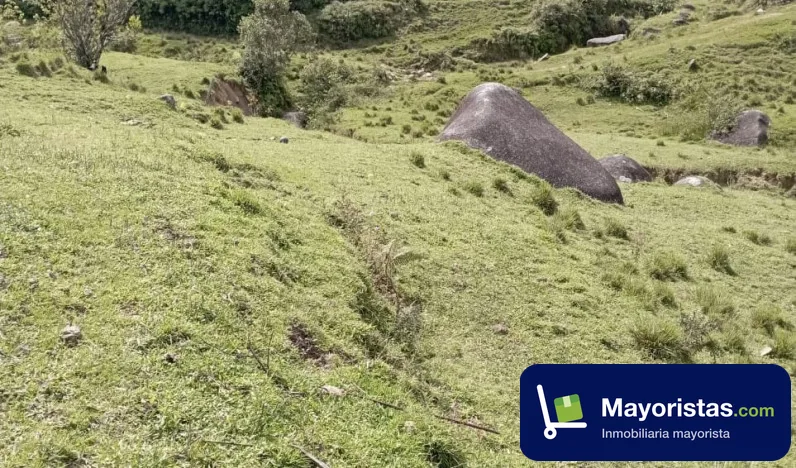 Finca ganadera de 90 ha en Santo Domingo, Antioquia — foto 12 de 12