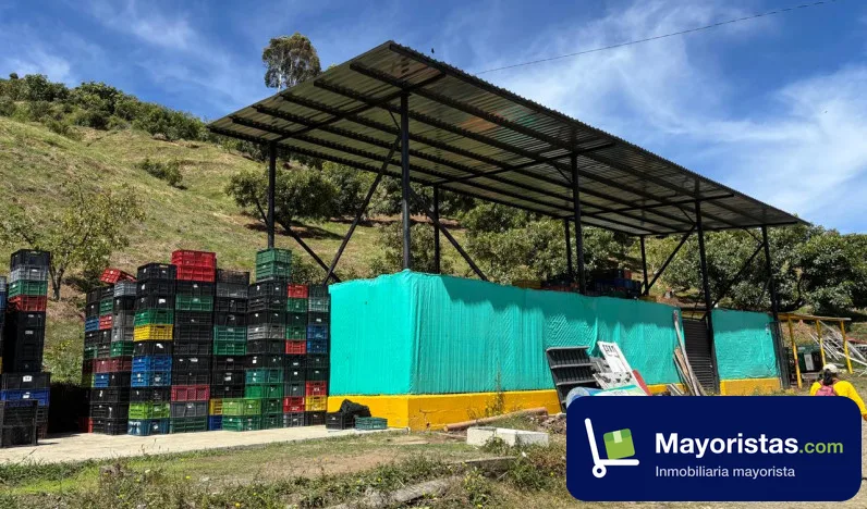 Finca agrícola de 125 ha en Sonsón, Antioquia — foto 10 de 12