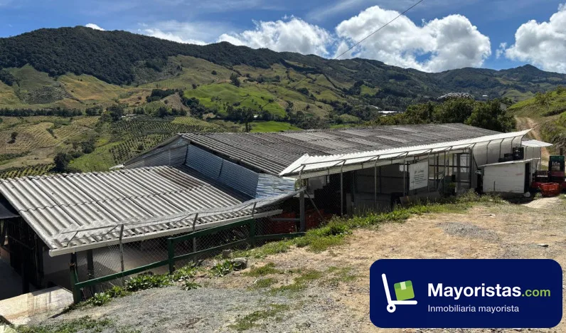 Finca agrícola de 125 ha en Sonsón, Antioquia — foto 12 de 12