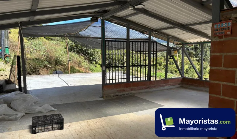 Finca agrícola de 125 ha en Sonsón, Antioquia — foto 9 de 12