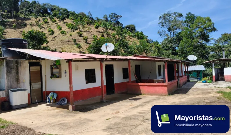 Finca agrícola de 30 ha en San Roque, Antioquia — foto 10 de 10