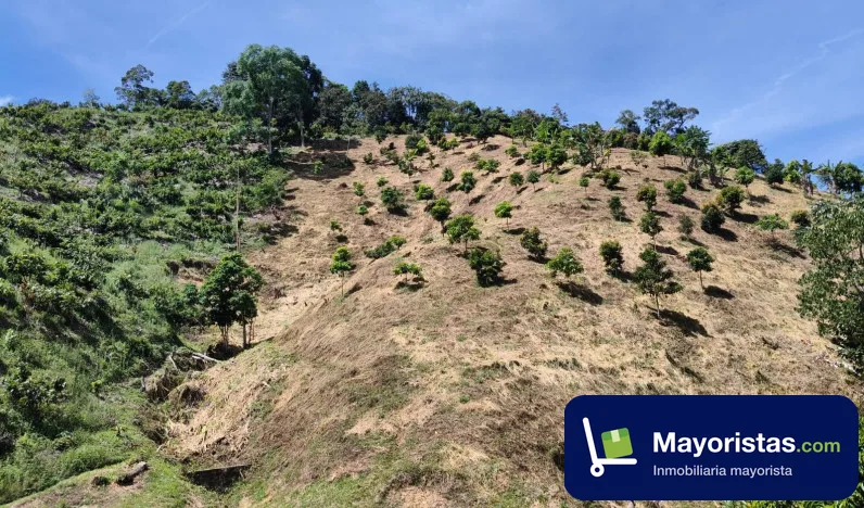 Finca agrícola de 30 ha en San Roque, Antioquia — foto 9 de 10