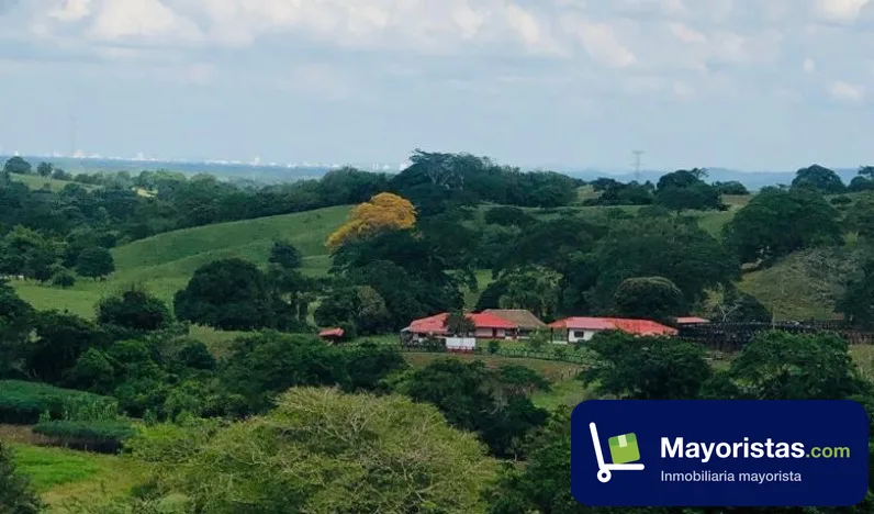 Finca ganadera de 888 ha en Montería, Córdoba — foto 10 de 10