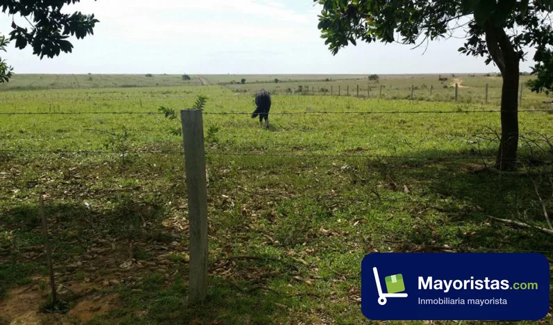 Finca ganadera de 630 ha en Puerto Gaitán, Meta