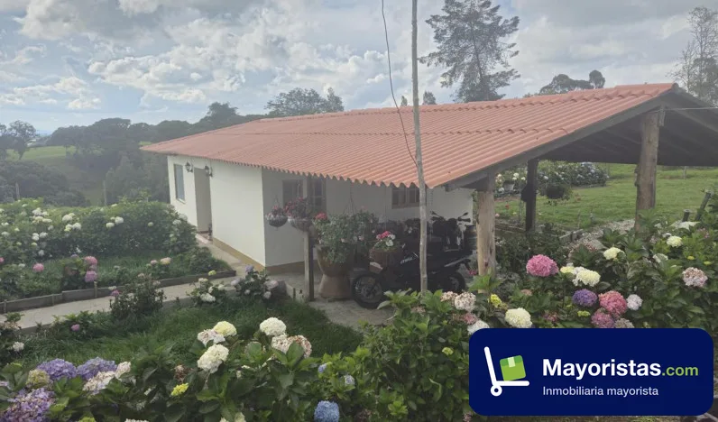 Finca ganadera de 75,5 ha en Santa Rosa de Osos, Antioquia — foto 9 de 10