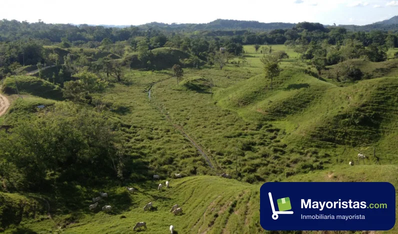 Finca ganadera de 300 ha en Puerto Boyacá, Boyacá