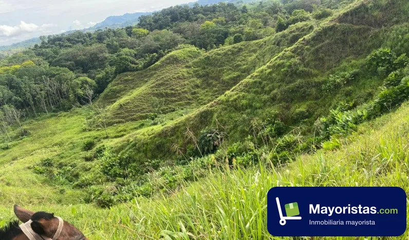 Finca ganadera de 300 ha en Puerto Boyacá, Boyacá — foto 9 de 10