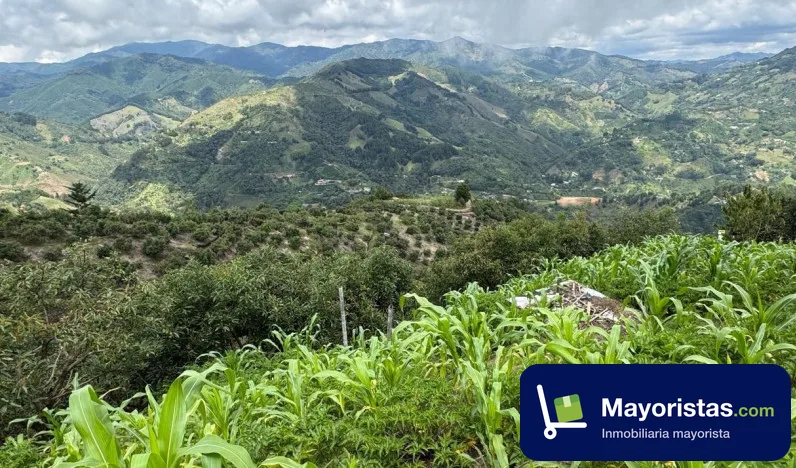 Finca agrícola de 5 ha en Montebello, Antioquia