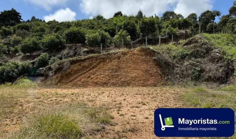 Finca agrícola de 5 ha en Montebello, Antioquia — foto 9 de 10